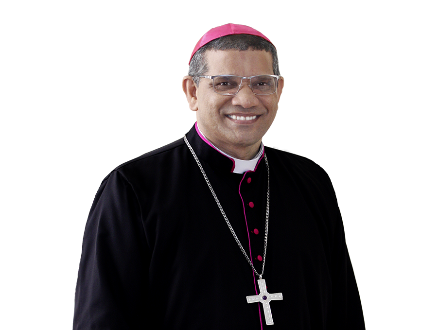 Dom Antônio de Assis Ribeiro, SDB